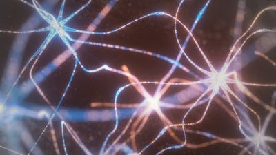 Proof of a Mindful Universe with Eben Alexander