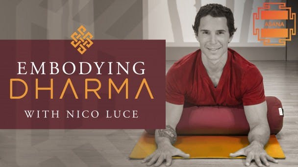 Embodying Dharma