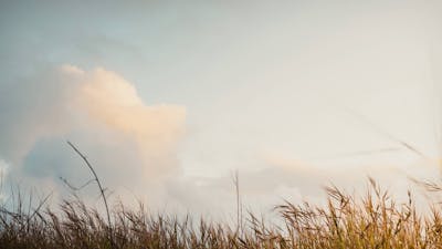A Pause for Parents: Audio Meditation