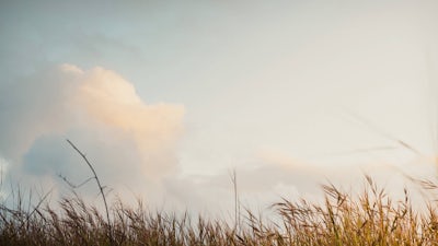 A Pause for Parents: Audio Meditation