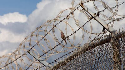 Azim Khamisa on Forgiveness Amidst Gang Violence