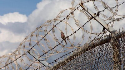 Azim Khamisa on Forgiveness Amidst Gang Violence