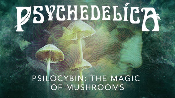 Psilocybin: The Magic of Mushrooms