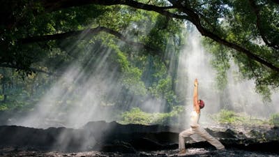 Gerald Cohen on The Path Home: What Your Body Wants You to Know