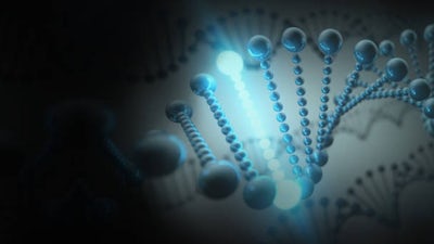 Des codes E.T dans notre ADN