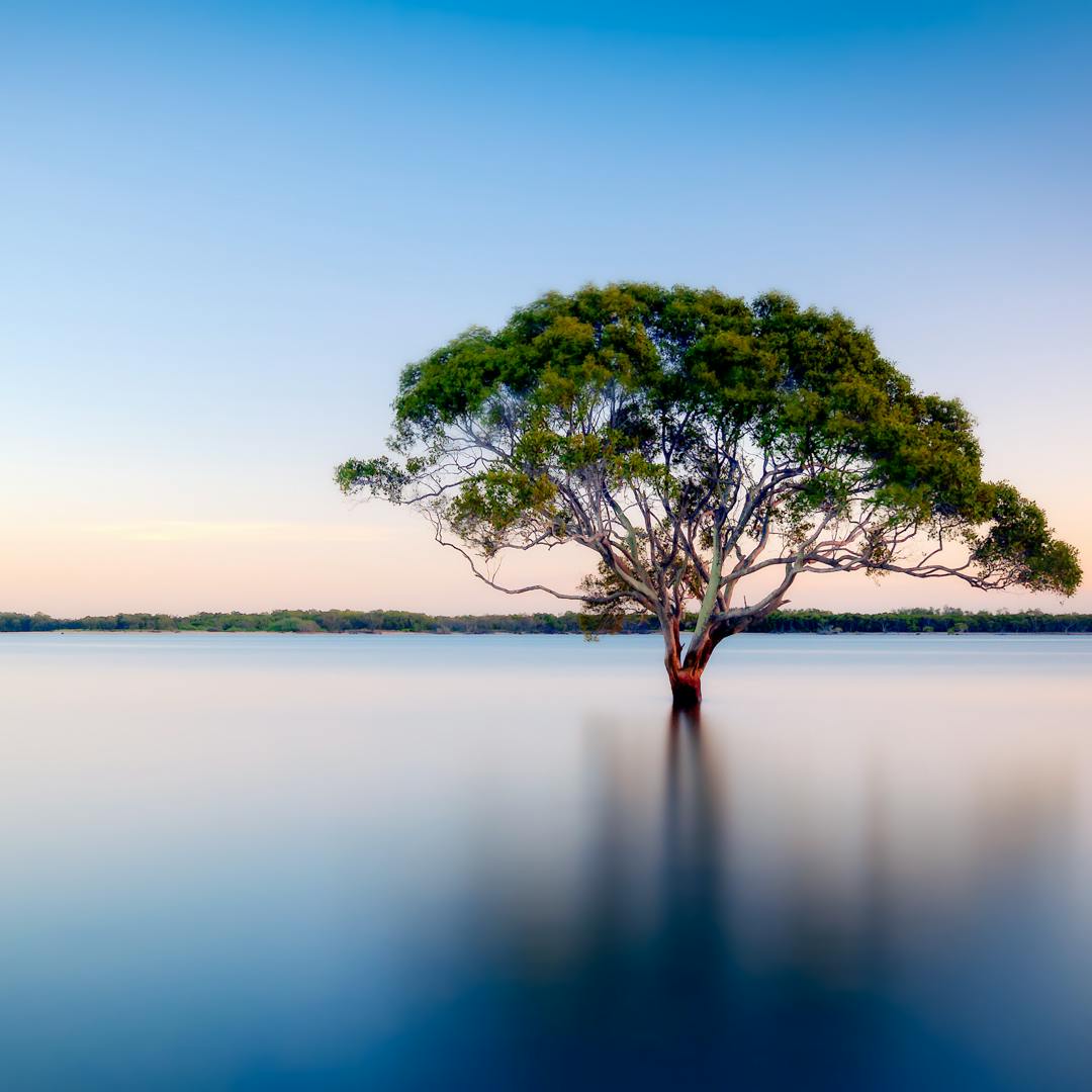 Yoga Nidra for Emotional Healing