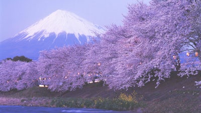 Gotham Chopra, Noah Levine, and Ocean Robbins