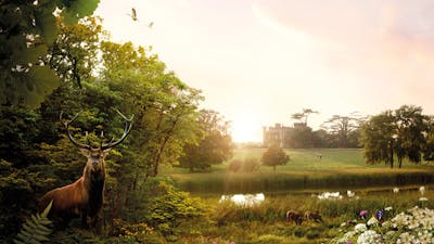 Wildes Land – Die Rückkehr der Natur