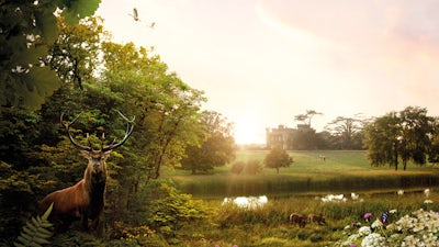 Wildes Land – Die Rückkehr der Natur