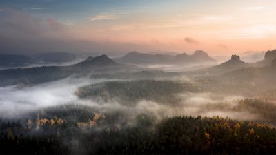 The Lotus of Compassion: Audio Meditation