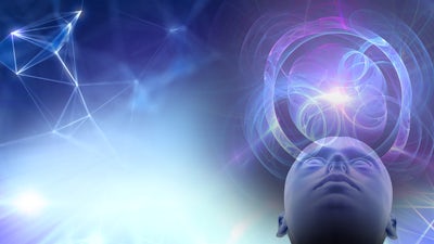 Four Levels of Consciousness