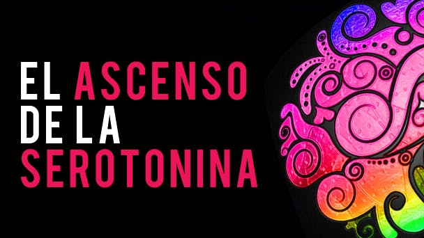 El Ascenso de la Serotonina