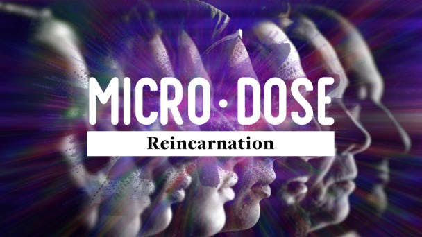 Reincarnation
