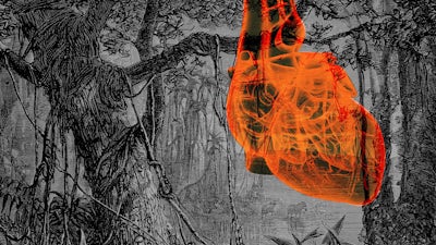 Amazon: the Spiritual Heart of Our World with Jordão Souza