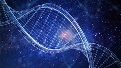 Psycho-Spiritual Powers of the Soul