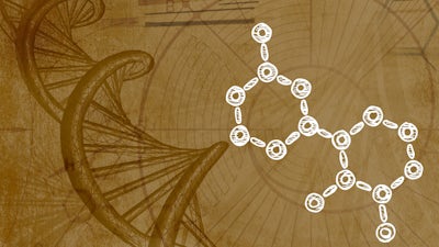 Le contrôle de l'expression génétique