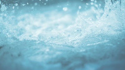 Un viaje a la atención plena