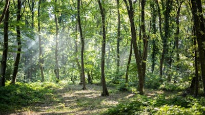 Overcoming Addiction