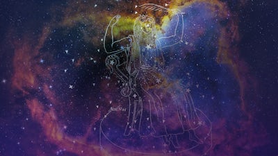 Projekt Kassiopeia: Austauschprogramm