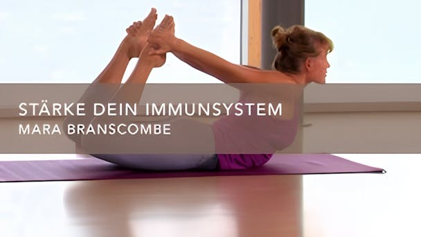 Stärke dein Immunsystem