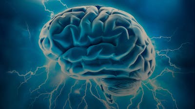 Dr Joe Dispenza on the Power of Changing Your Thinking
