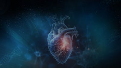 Session 1: Resilience of the Heart