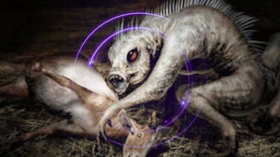 El chupacabras de Rumania