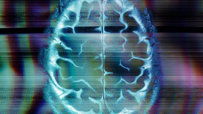 Controlling the Human Mind with Nick Begich