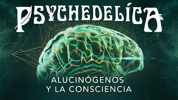 Alucinógenos y la Consciencia
