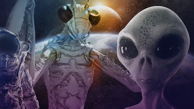 Mantis, Greys & Machtstrukturen