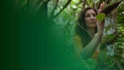 BONUS: Chamans, Pérou, les voix de la guérison: interview 2