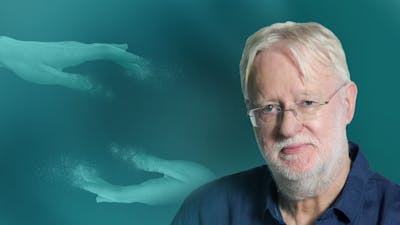 Zirbeldrüse - Ein Wunderwerk