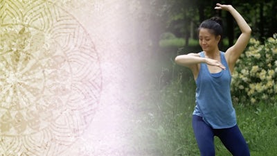 QiGong Basics Introduction