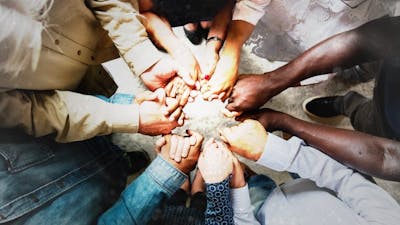 You Can't Google Wisdom with Anita Sanchez