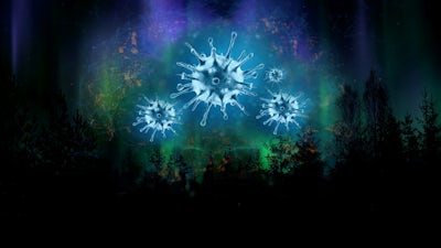 El sentido de la enfermedad