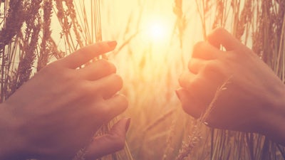 Phillip Mountrose on Emotional Freedom Technique