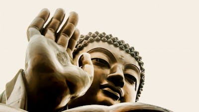 Ahimsa: Nonviolence as Loving Kindness