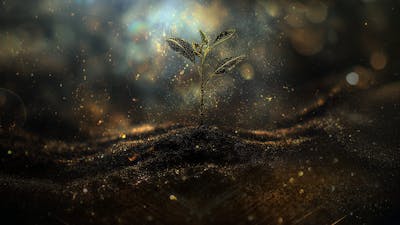 Design an Environment for Growth