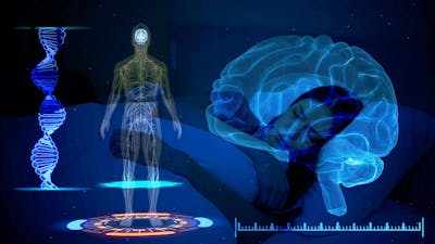 PTSD Study Finds People May Find Healing in Lucid Dreams