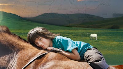 The Horse Boy