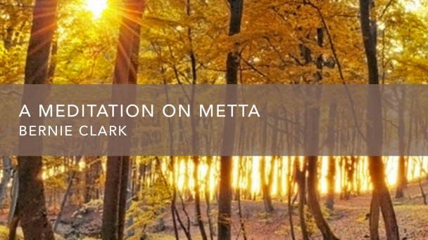 A Meditation on Metta