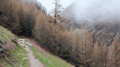 Proving Bigfoot with Rhettman Mullis