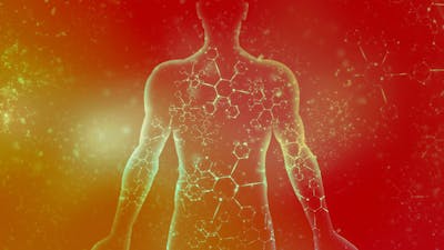 Die Kraft in dir: Der Körper als Ursprung