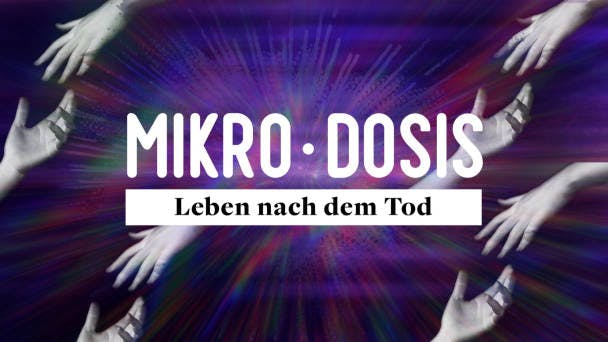 Leben nach dem Tod
