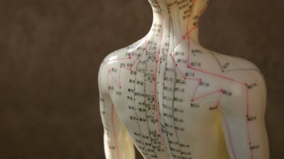 Health Freedom with Dr. Robin Falkov