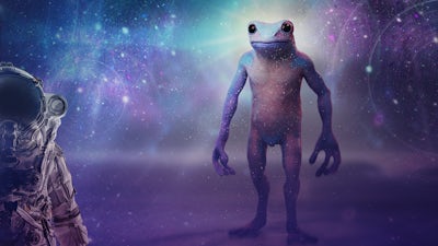 Greys Introduce Frog Race to Humanity