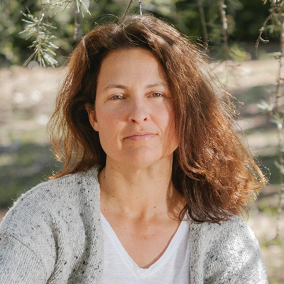 teacher avatar image