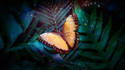 Radiance