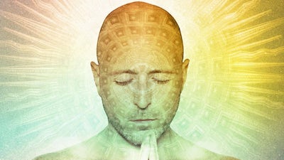 The Zs (Channeled by Lee Harris)