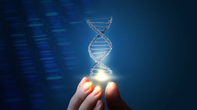 How Your Body Connects to the Universe